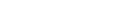 Papillon Medical